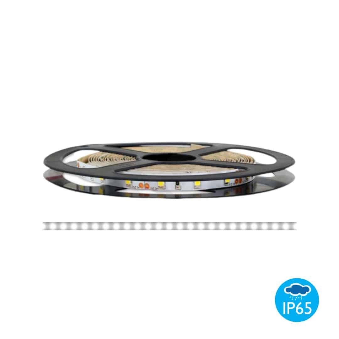 LED trak 12V 600 LED 9,6W/m IP65 4500K 5m
