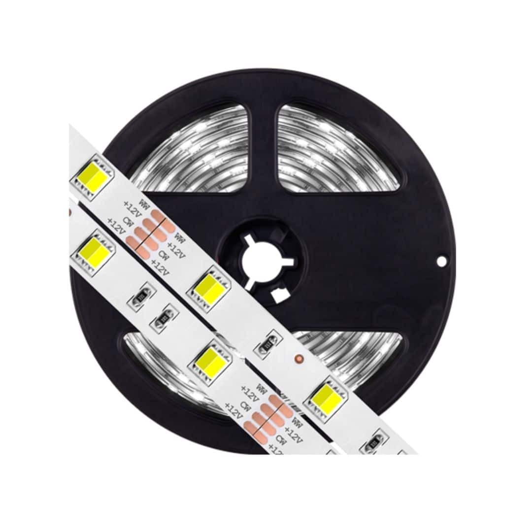 LED trak Premium 5986 10W/m 12V 300 LED IP20 6000K 5m