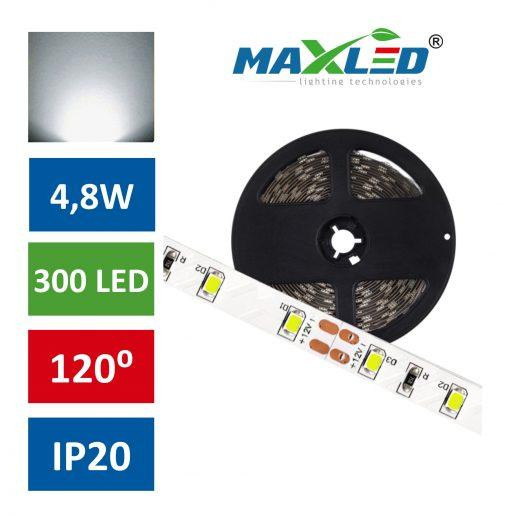 LED trak Premium 2835 4,8W/m 12V 300 LED IP20 nevtralno bela 4500K 5m